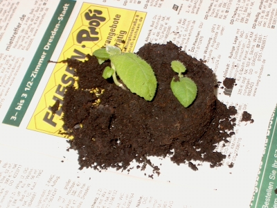 Gamm und Jot am 27.05.2007